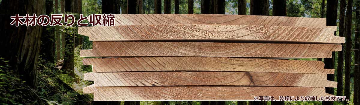 木材の反りと収縮 メインバナー